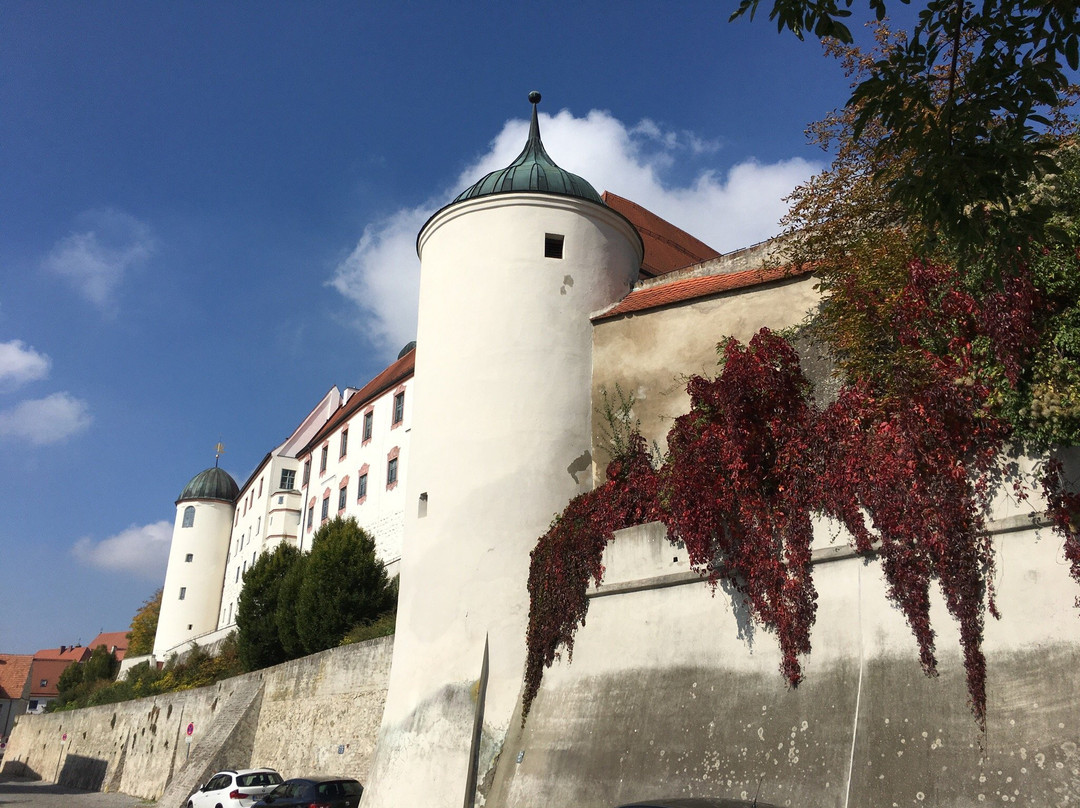 Schloss Dillingen an der Donau景点图片