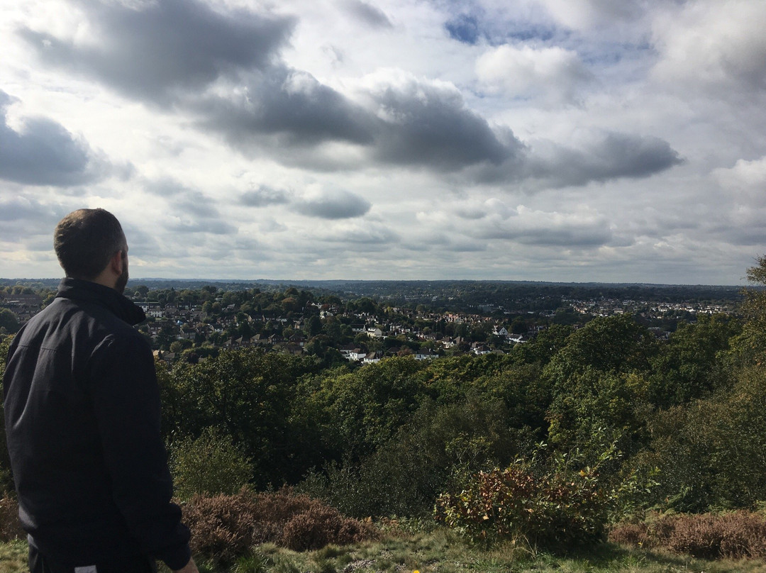 Croham Hurst Woods景点图片