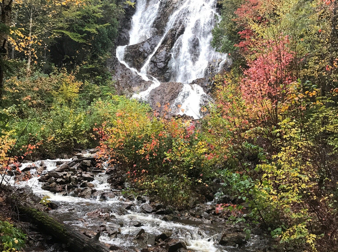 Algoma Central Railway-苏圣玛丽必去景点