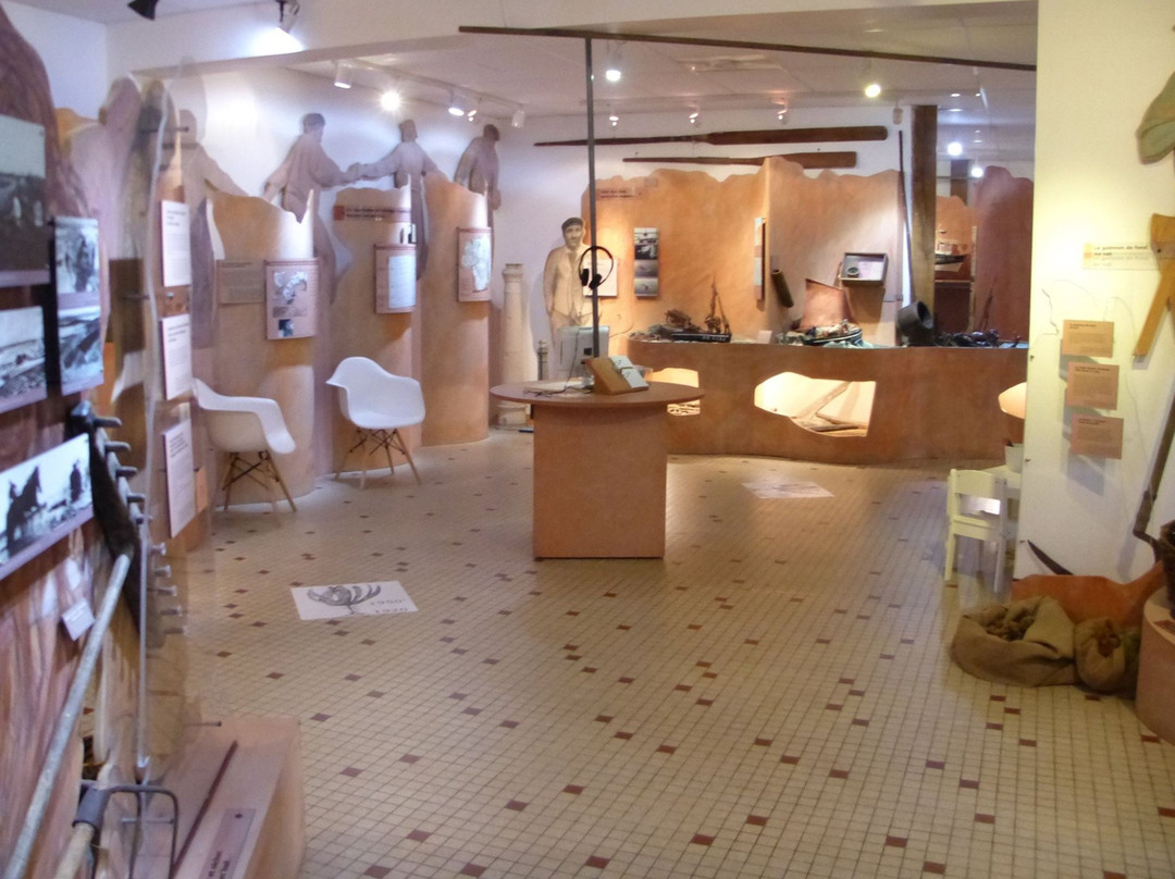 Musée des Goémoniers et de l’Algue景点图片