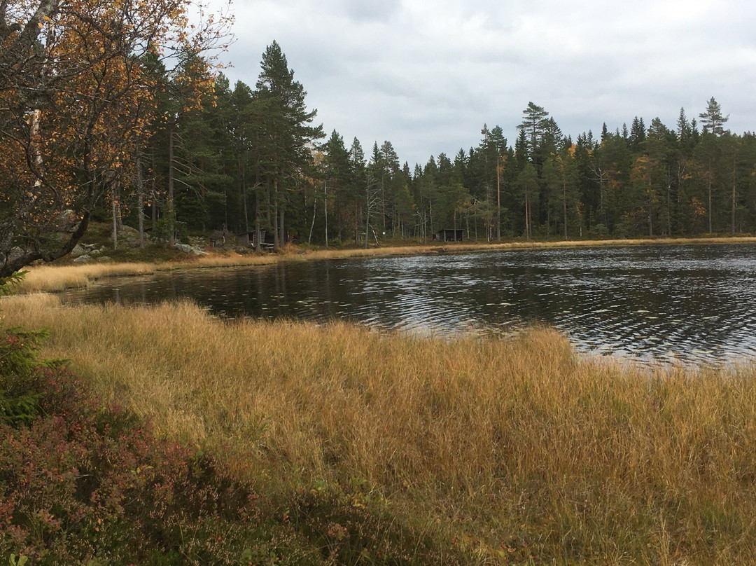 Gyllbergen Naturreservat-Borlange必去景点