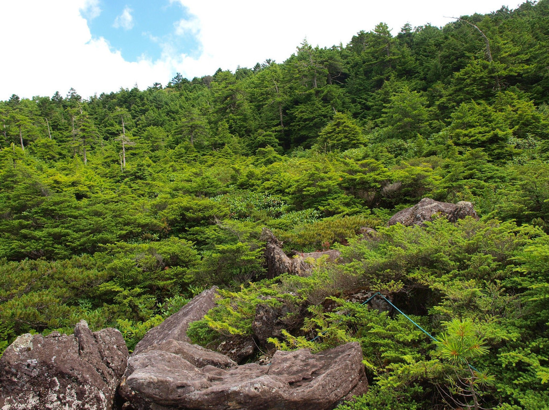 Shirakoma no Okuniwa-佐久穗町必去景点