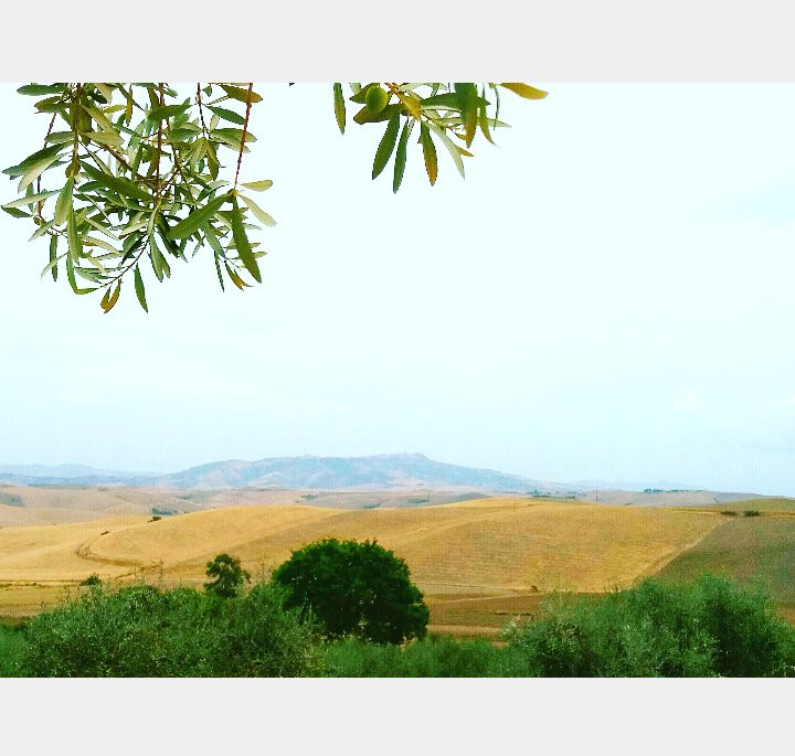 Lajatico酒店住宿-Agriturismo Signorini