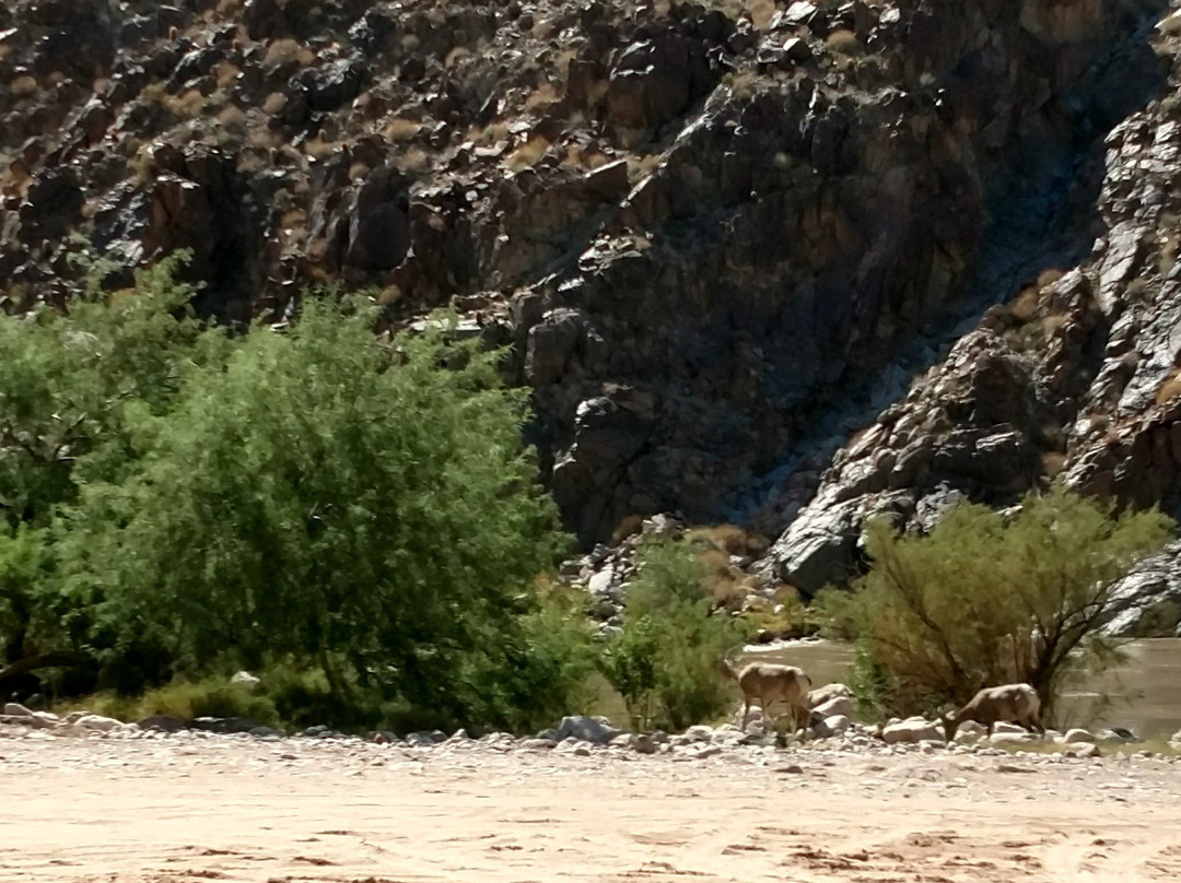 Diamond Creek Campground