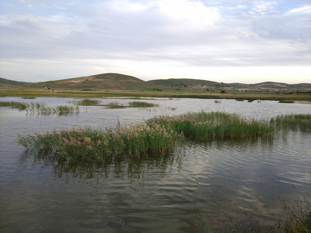 金莲川草原-正蓝旗必去景点
