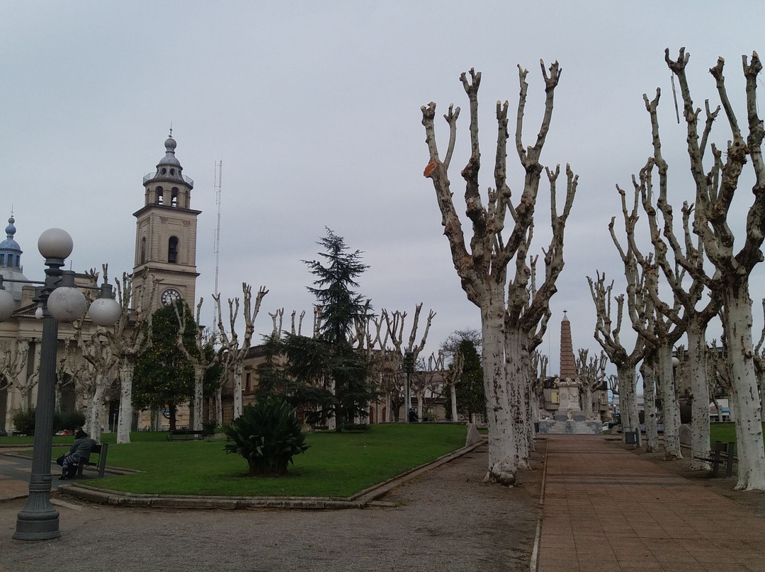 Catedral de San Jose de Mayo景点图片