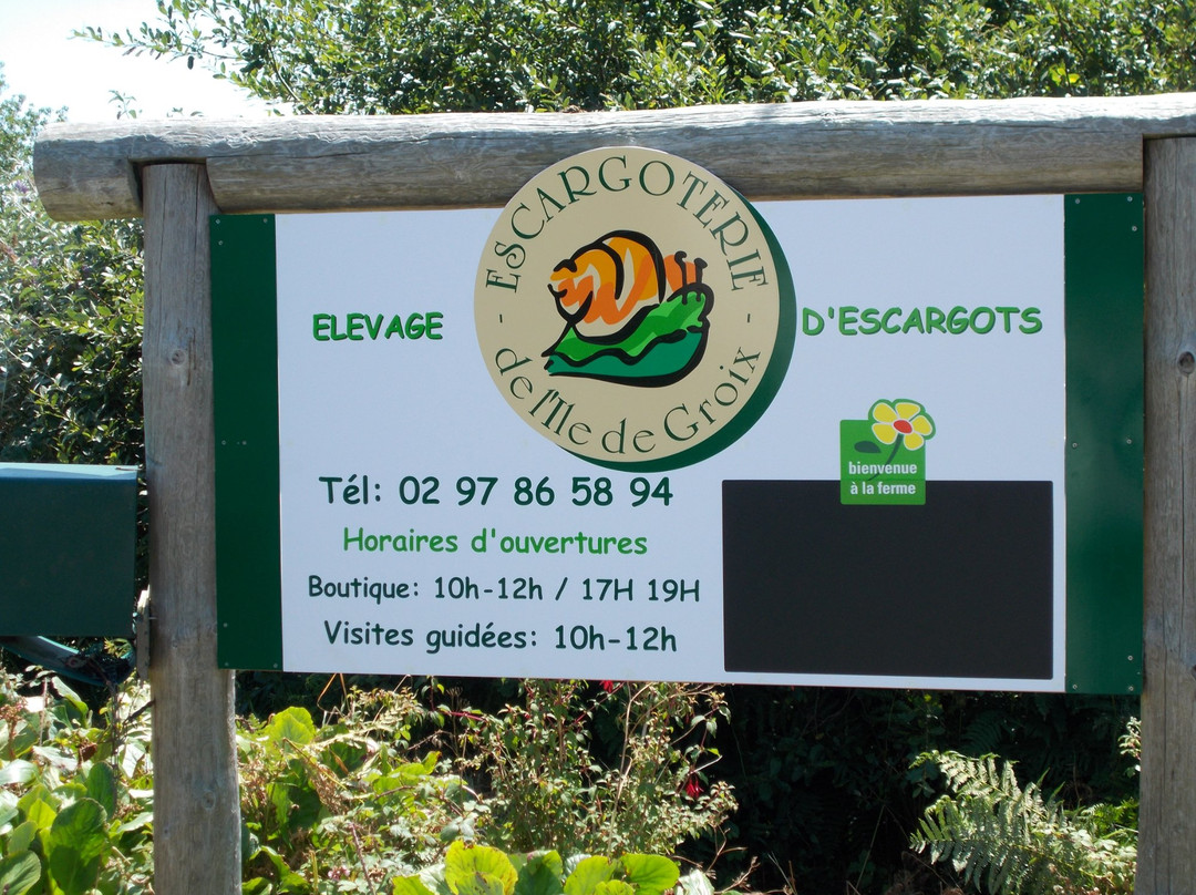 Escargoterie de Groix景点图片