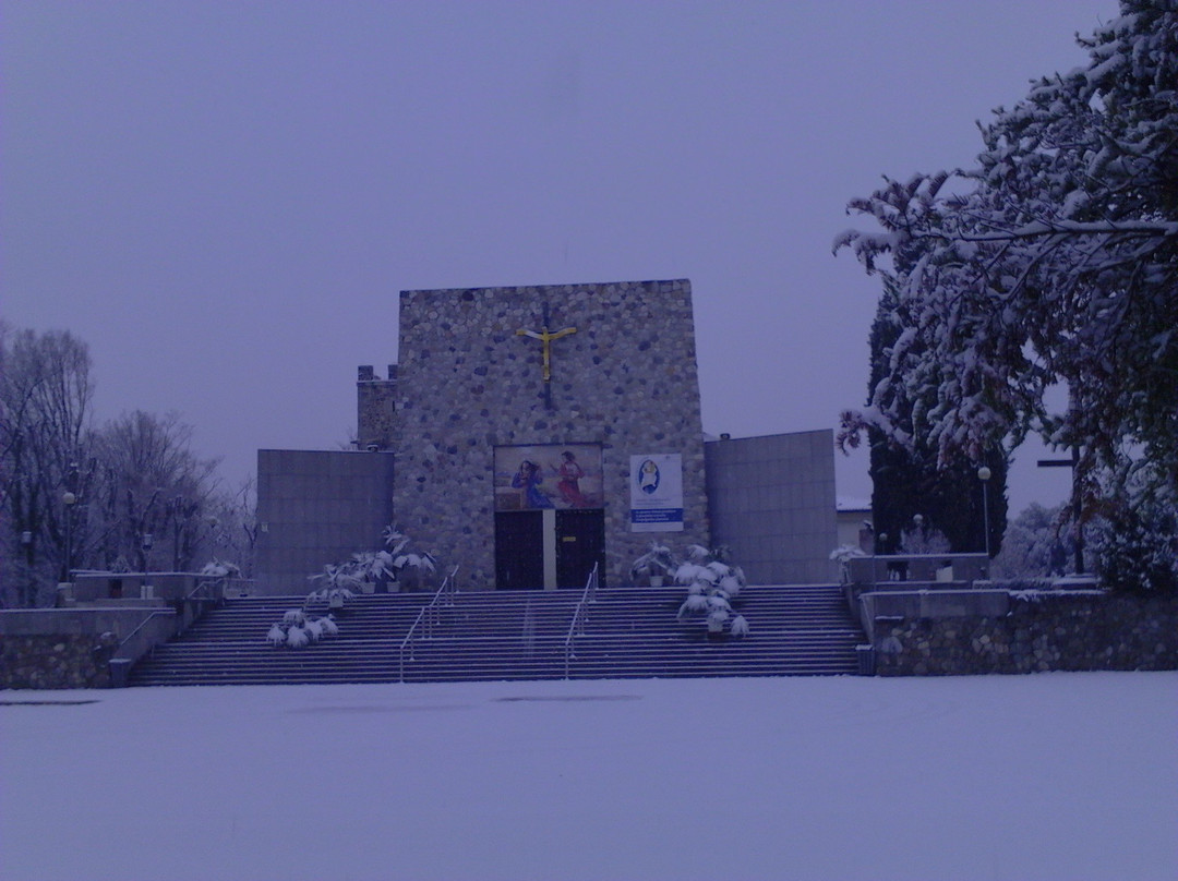 Santuario della Madonna Missionaria景点图片