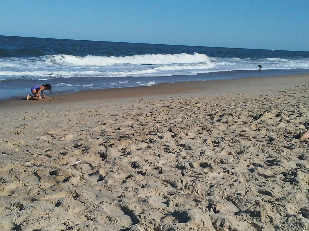 Delaware Seashore State Park