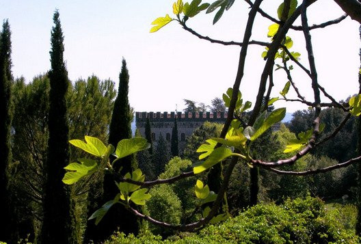 Castello La Poderina景点图片