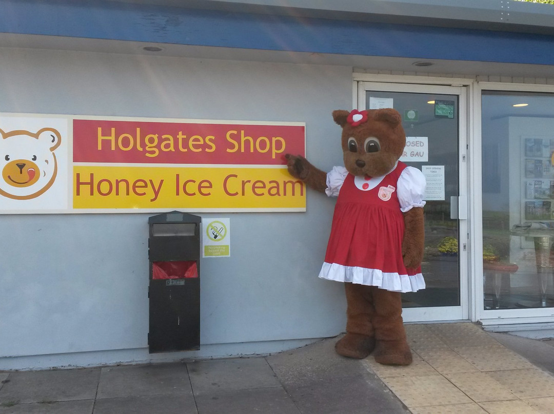 Holgates Ice Cream Shop & Cafe景点图片
