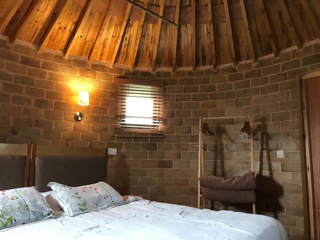 泰生天地-崇明县必去景点