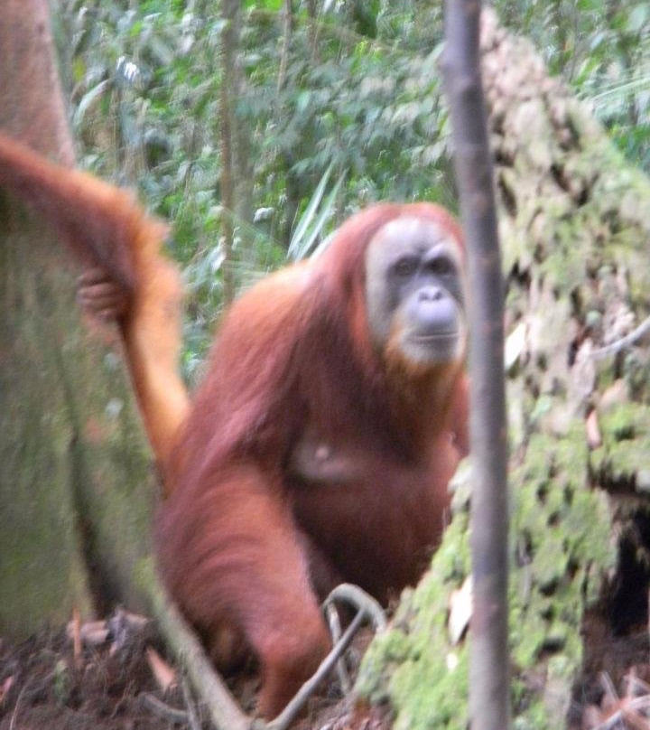 Indra Valley Inn Trekking-武吉拉旺必去景点