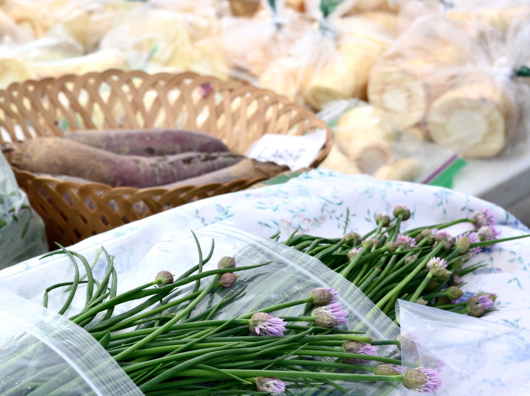 Prince George Farmers Market景点图片
