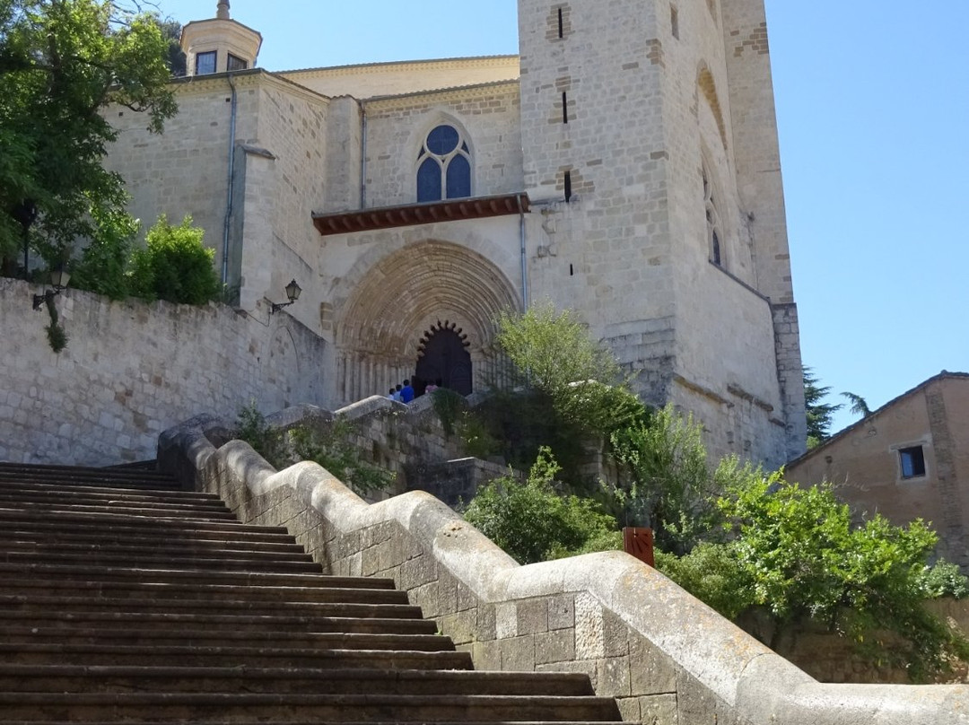 Navark Actividades Guiadas Estella-Estella必去景点