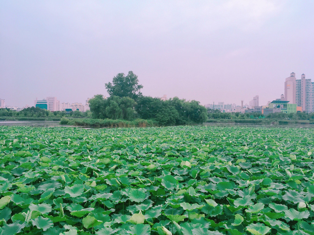 Mansuk Park-水原市必去景点