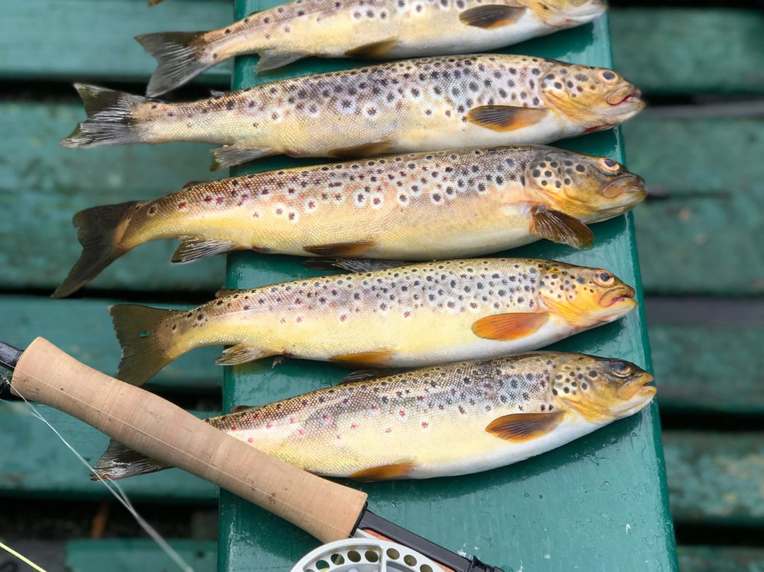 The Scottish Ghillie-因弗内斯必去景点