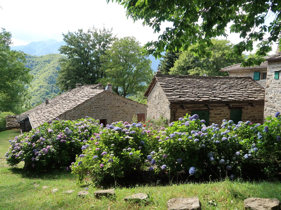 Borgo di Tresana景点图片