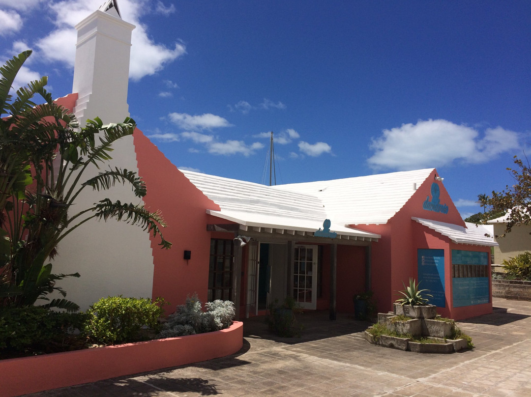 Davidrose Studio-圣乔治必去景点