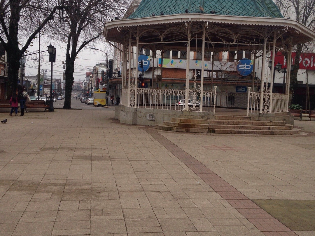 Plaza de la Republica-瓦尔迪维亚必去景点