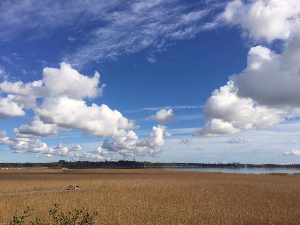 Laajalahti Nature Reserve-埃斯波必去景点