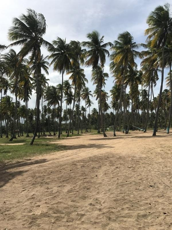 Playa Lucia景点图片