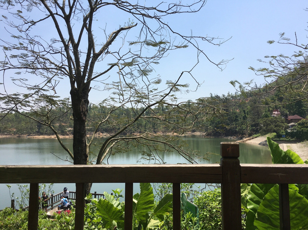 天竺山国家森林公园-厦门市必去景点