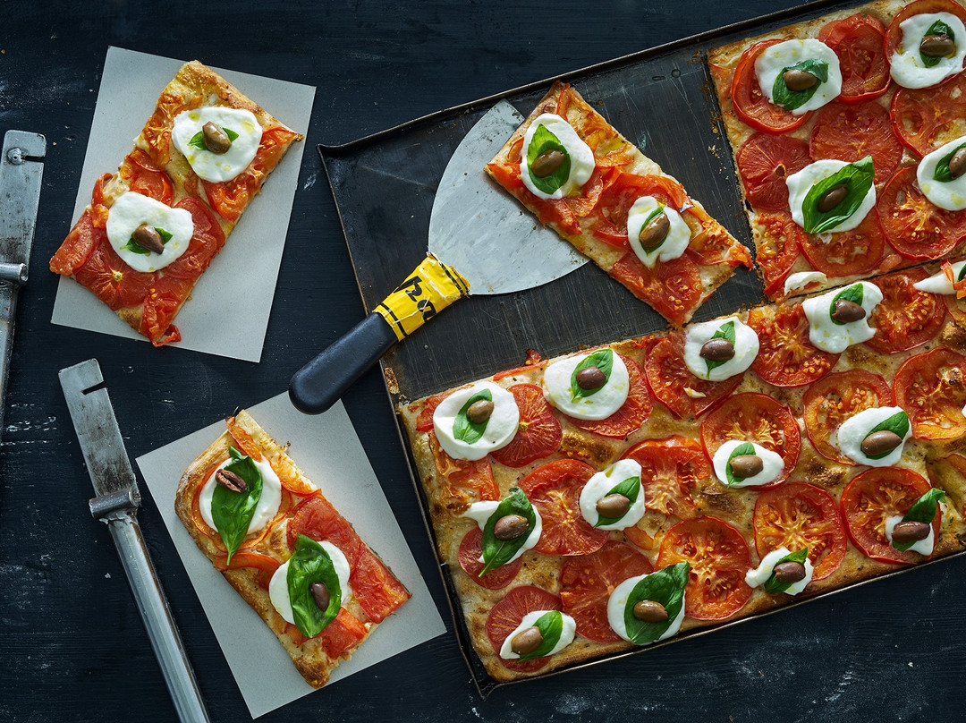 Tony Vespa - Shenkar