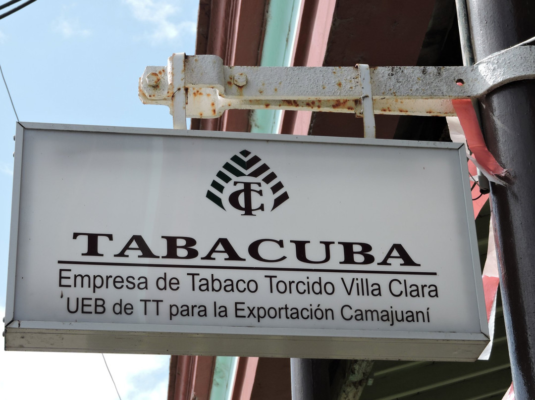Fabrica de Tabacos Costantino Perez Carrodegua景点图片
