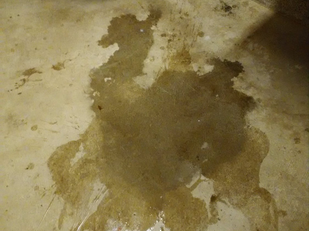 Armitage Park-尤金必去景点