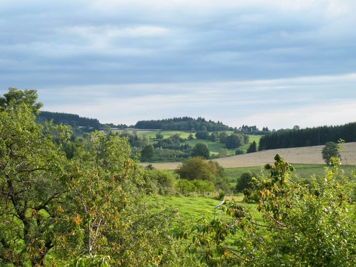 Ferme du Tilleul主图