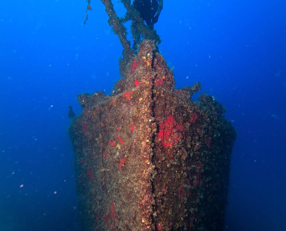 Bubbles - Club For Divers-朱拜勒必去景点