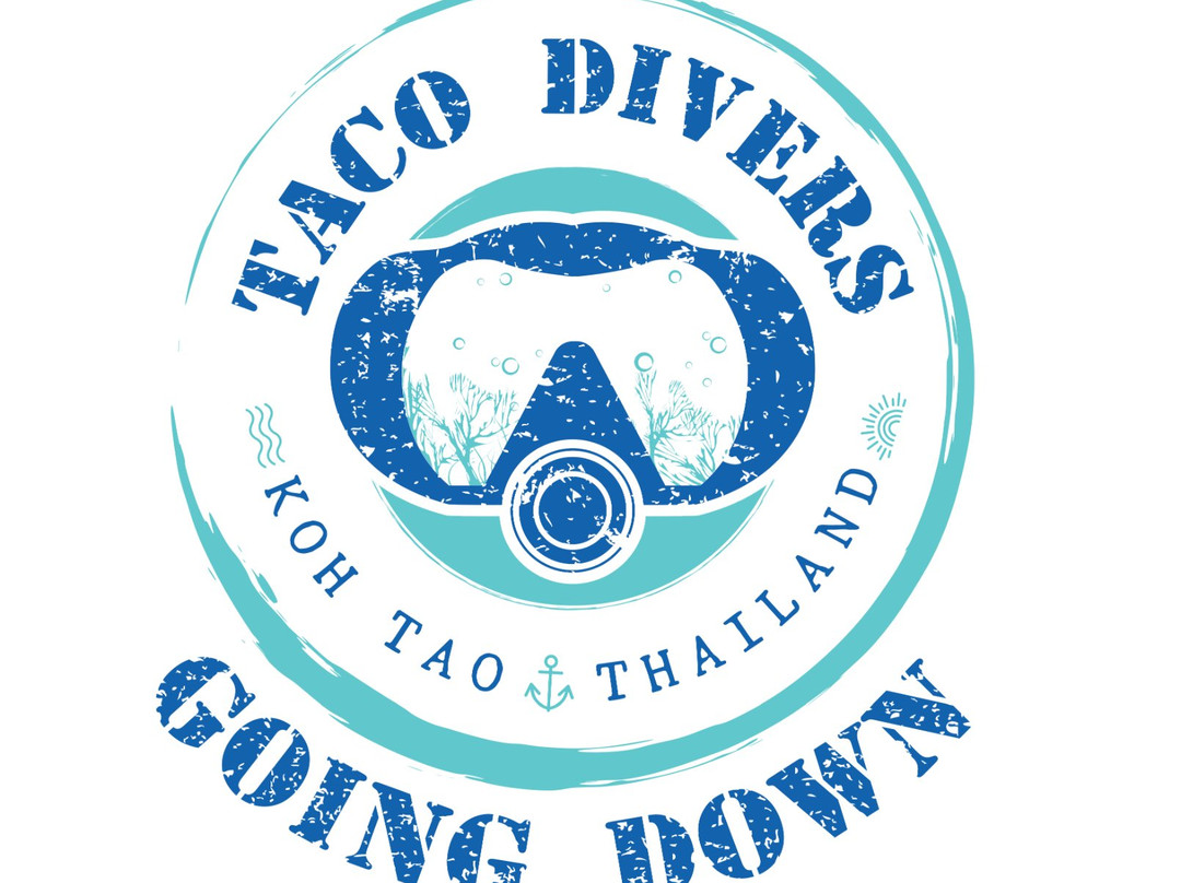 Taco Divers景点图片