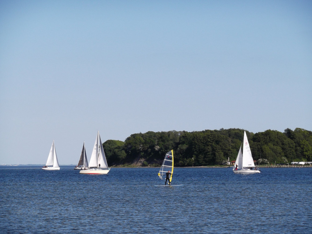 Dunkerbeck Windsurfing & Sup景点图片