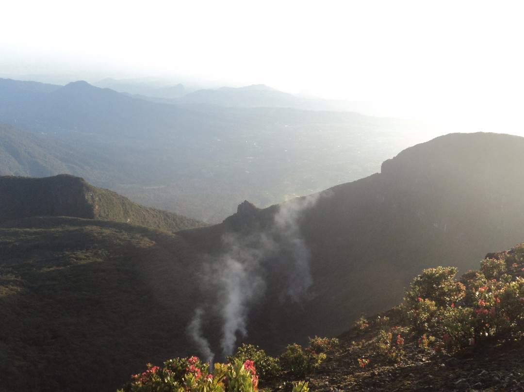 Gede Pangrango National Park-苏加武眉必去景点