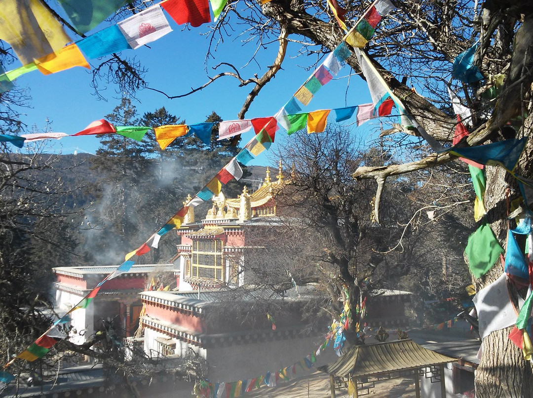 大宝寺-香格里拉县必去景点