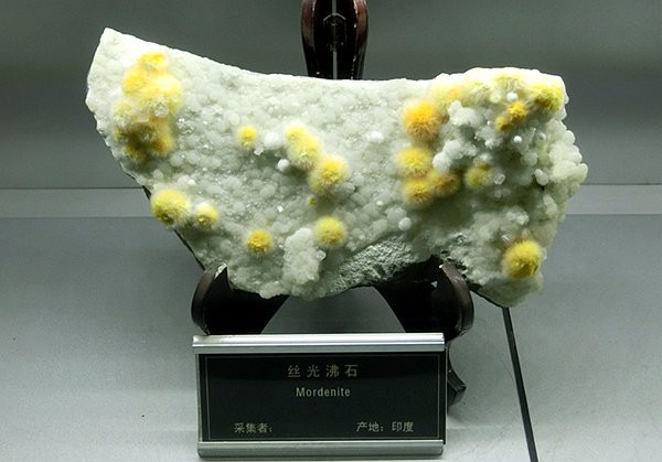 中国地质大学博物馆-武汉市必去景点
