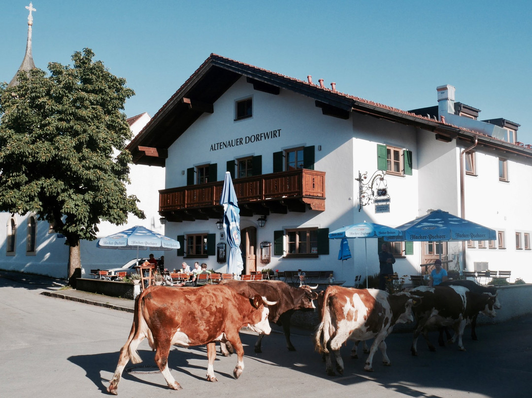 Saulgrub酒店住宿-Altenauer Dorfwirt