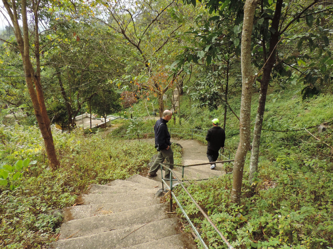 Tham Piu Cave景点图片
