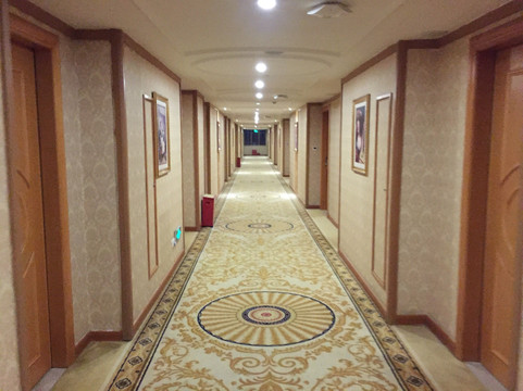 维也纳国际酒店(深圳坂田华为地铁站店)主图