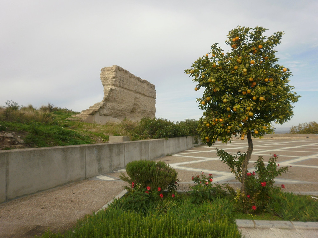Ruinas del Castillo景点图片