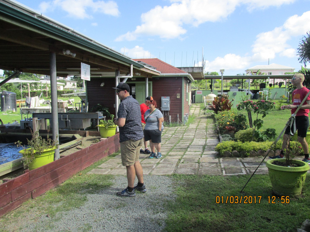 Interac'dadli Tours-圣 约翰必去景点