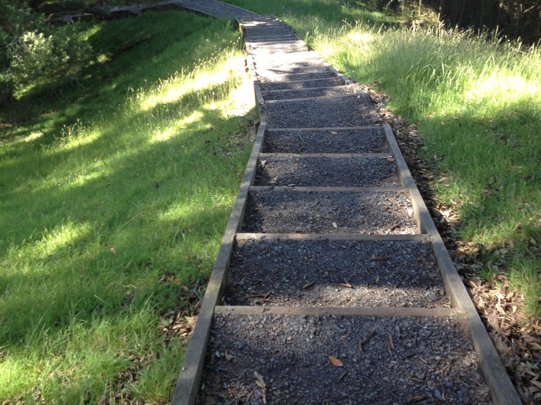 Mt St John Domain-埃普索姆必去景点