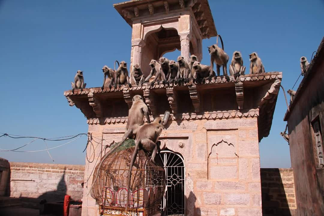 Ramtek Fort Temple景点图片