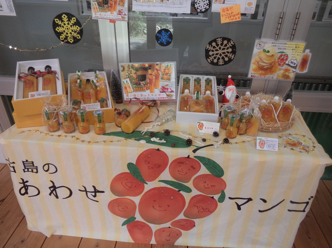Tropical Fruits Park-宫古岛市必去景点
