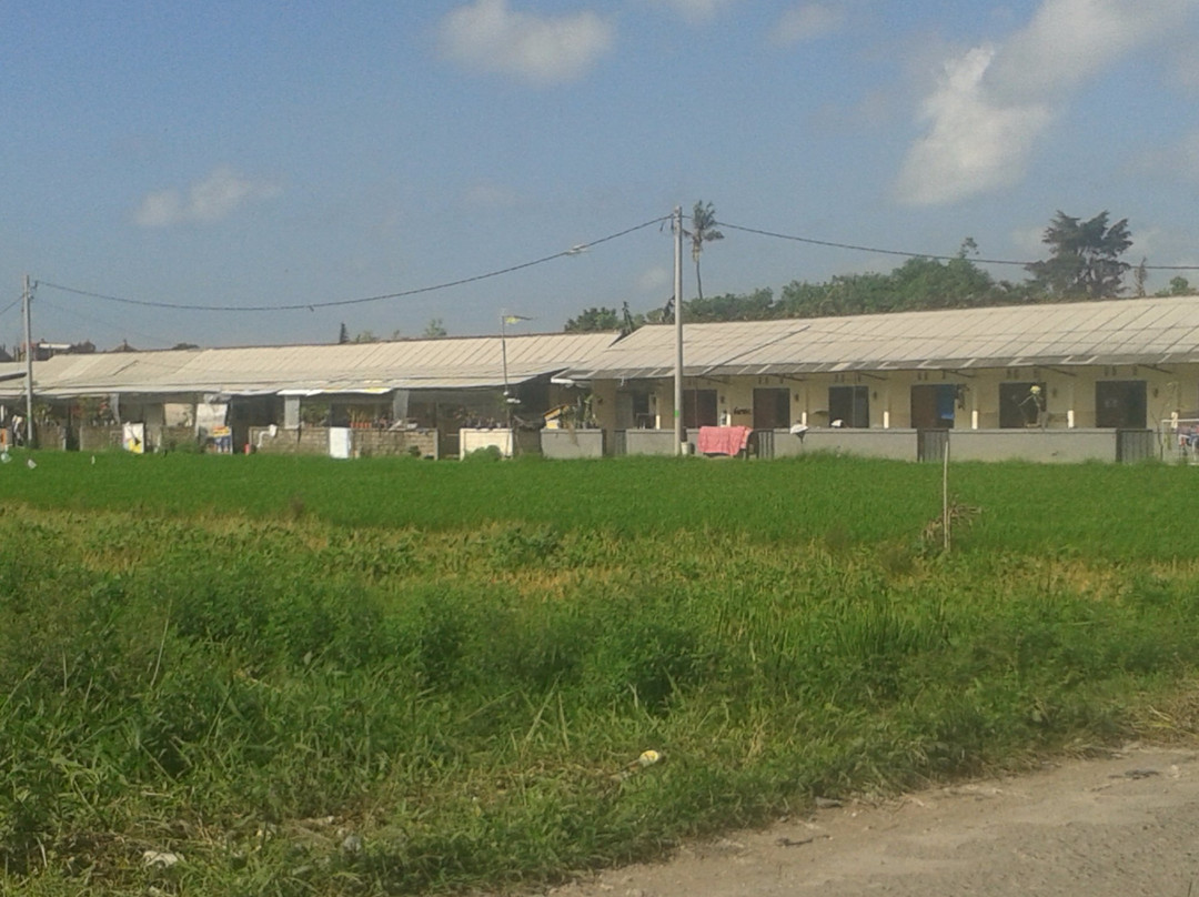 Your Bali Tour Driver-吉安雅必去景点