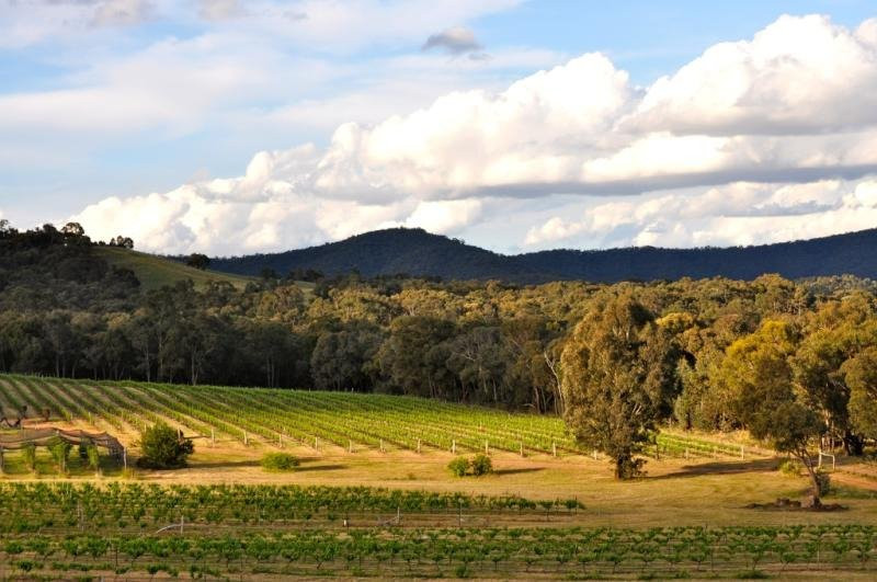 Grape Farm Winery景点图片