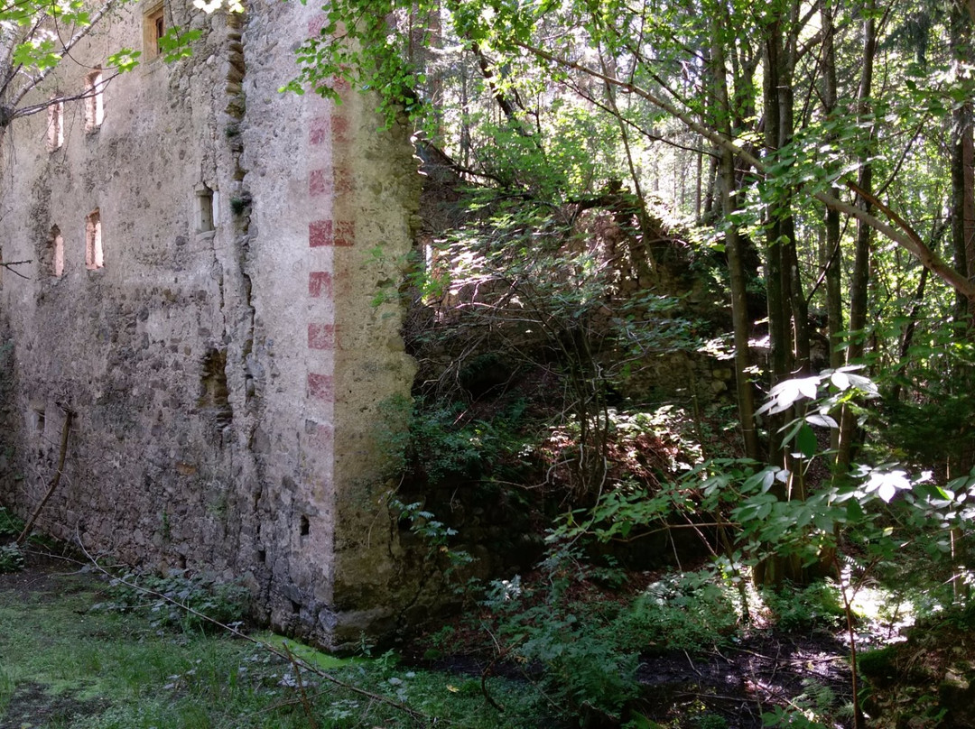 Ruine Painburg景点图片