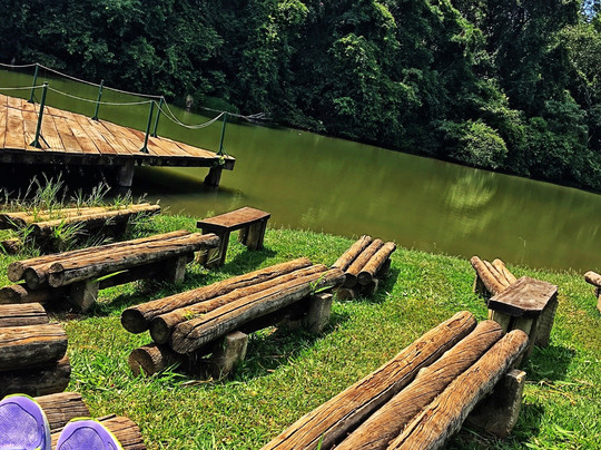 Amalia Hermano Teixeira Botanic Garden-戈亚尼亚必去景点