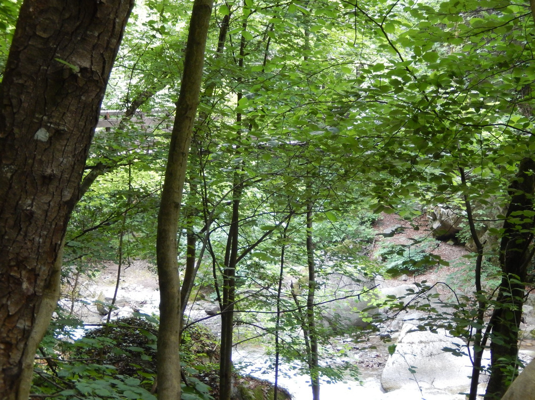 Gaul Canyon景点图片
